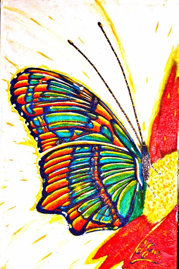 Papillonmulticolore Tableaux Peinture Acrylique Toiles Animaux
